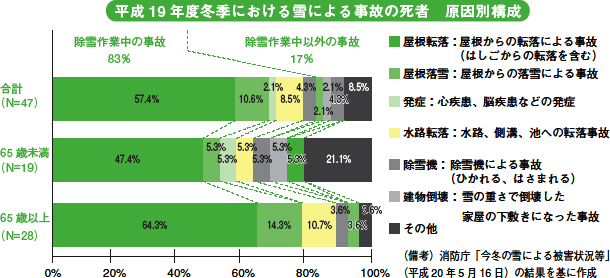 平成19年度冬季における雪による事故の死者　原因別構成