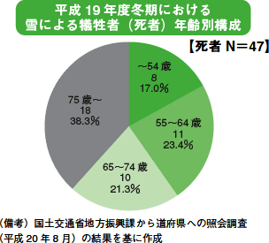 平成19年度冬期における雪による犠牲者(死者)年齢別構成