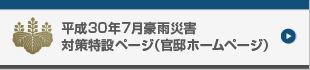 平成30年7月豪雨災害対策特設ページ