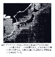 hasegawa