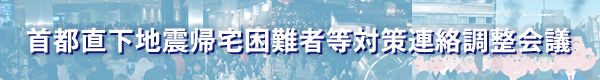 首都直下地震帰宅困難者等対策連絡調整会議