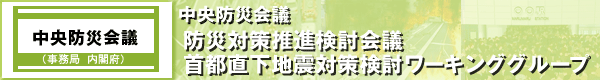 中央防災会議　防災対策推進検討会議　首都直下地震対策検討ワーキンググループ