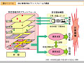 防災情報共有プラットフォームの構築