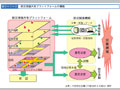 防災情報共有プラットホームの構築