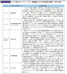 シニア海外ボランティア（SV）派遣事業における防災関係の事例（2004 年度）