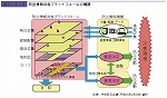 防災基本計画の修正履歴表２−１−４