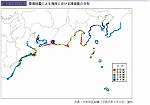 東海地震による海岸における津波高の分布