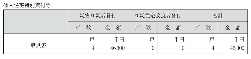 表　個人住宅特別貸付等