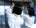 早稲田地区における防災まちづくり活動：高齢者の住宅にガラス飛散防止フィルム貼りを支援の写真