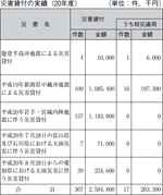 災害貸付の実績（２０年度）の表