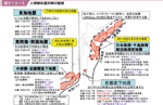 図２−３−５ 大規模地震対策の概要の図