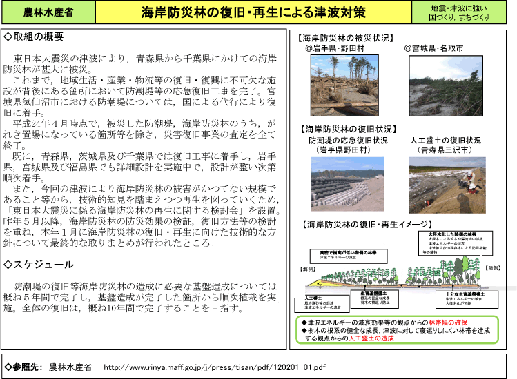 海岸防災林の復旧・再生による津波対策