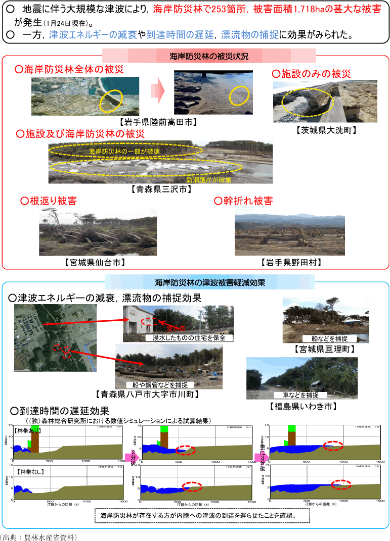 附属資料13　海岸防災林の被災状況と津波に対する効果