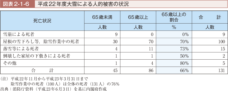 図表2-1-6　平成22年度大雪による人的被害の状況