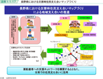 図表1-1-17　長野県における災害時住民支え合いマップづくり