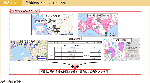 図表2-6-1　「災害情報ハブ」のイメージ図