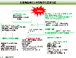 災害発生時における政府の応急対応