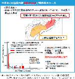 半割れ（大規模地震M8.0以上）/被害甚大ケース