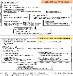 ガイドラインと今後の方向性