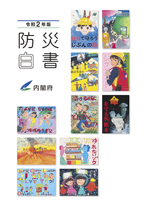 令和2年版　防災白書表紙