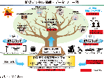 防災デジタル情報・データ フロー図