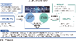 マッチングサイトの概要