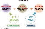 適応と緩和の関係