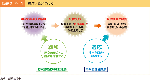 図表2-9-1　適応と緩和の関係
