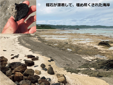 令和３年（2021年）10月の南西諸島（奄美大島、鹿児島県）の海岸の様子と、漂着した軽石（南大東島、沖縄県）の写真