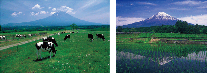 火山の恵み