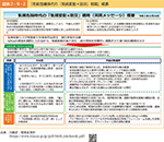 図表2-9-2　「気候危機時代の『気候変動×防災』戦略」概要