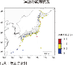 津波の観測状況
