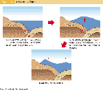 図表1-2-1　津波の発生の仕組み