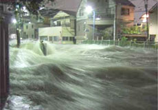 東京都杉並区妙正寺川北原橋付近。平成17年9月4日深夜、猛烈な雨が降ったときの様子。