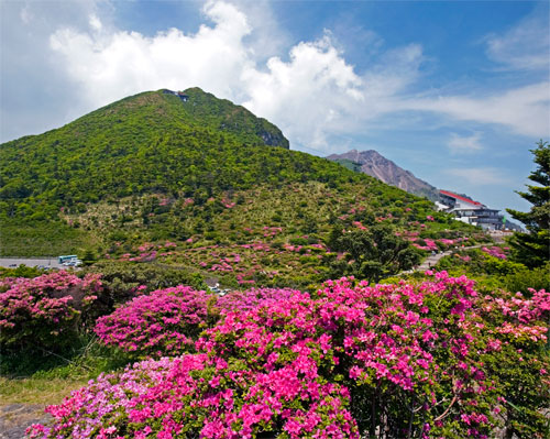 雲仙仁多峠と平成新山。手前はミヤマキリシマ（写真提供：アフロ）