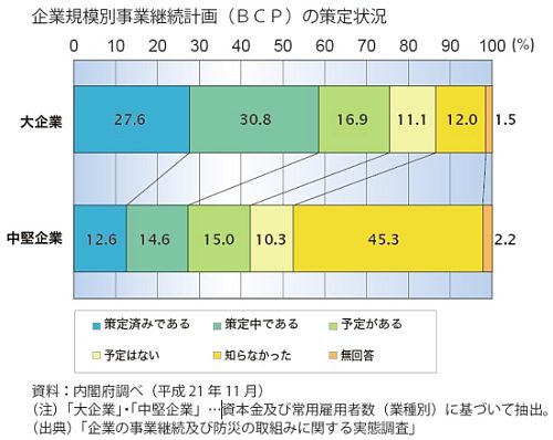 企業規模別事業継続計画（BCP）の策定状況