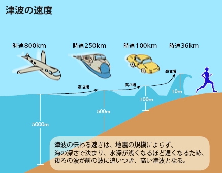 高 さ 津波 311 nvcdn.answerstv.com（朝日新聞社）：津波の最高到達点は４０．５メートル 専門家チーム測量