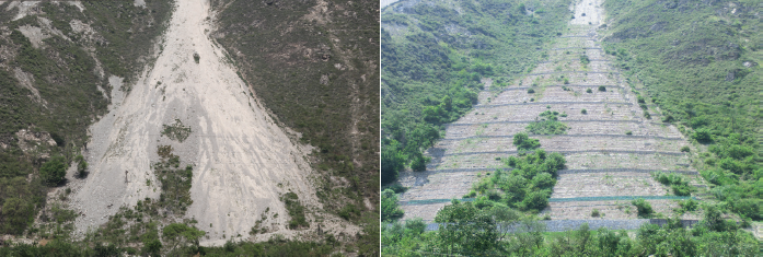 JICA四川省震災後森林植生復旧計画プロジェクト（2010～2015年　中華人民共和国） 地震で崩壊した山地（左）と施工３年後（右）