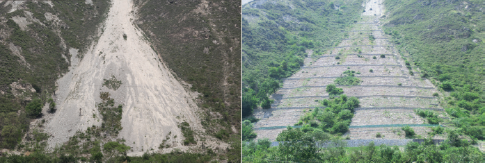 JICA四川省震災後森林植生復旧計画プロジェクト(2010~2015年 中華人民共和国) 地震で崩壊した山地(左)と施工3年後(右)