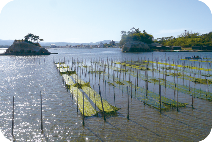 風光明媚な景観と海苔の養殖（現在）