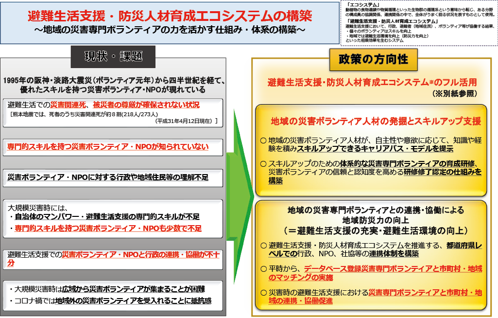 【防災・減災、国土強靱化新時代】防災教育・周知啓発ＷＧ（災害ボランティアチーム）提言