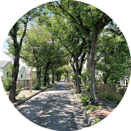 現在の桜堤