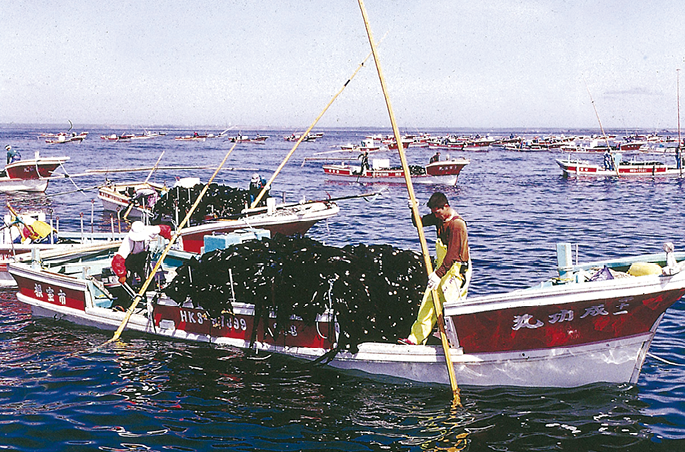 小型漁船による昆布漁