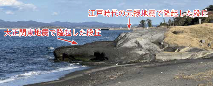 見物海岸の段丘。下段が大正関東地震で隆起した部分