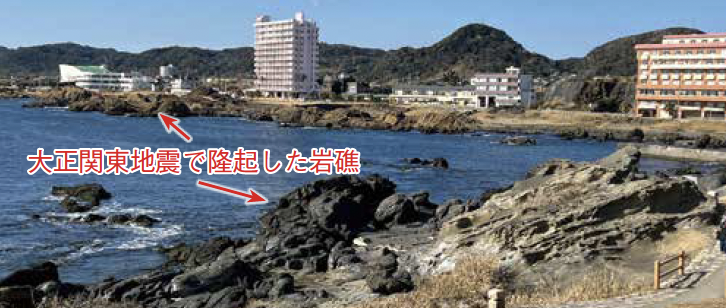 野島崎の海岸付近で見られる大正関東地震で隆起した岩礁