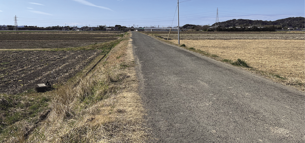 延命寺断層の痕跡。左側の水田の方が低くなっている