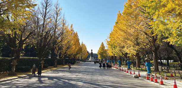 現在の靖国神社参道