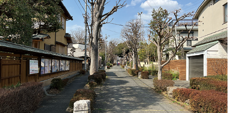 現在の盆栽村の街並み