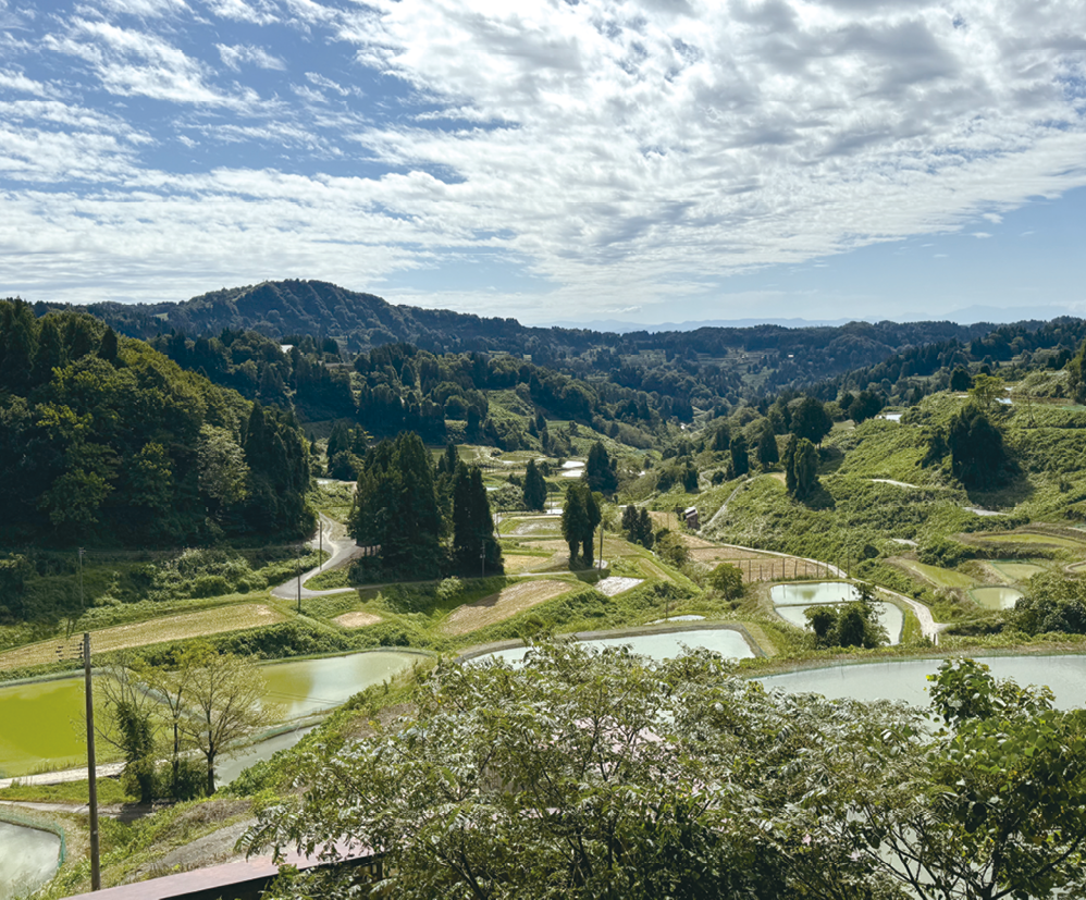 美しい棚田の景観が広がる長岡市山古志(2024年9月撮影)