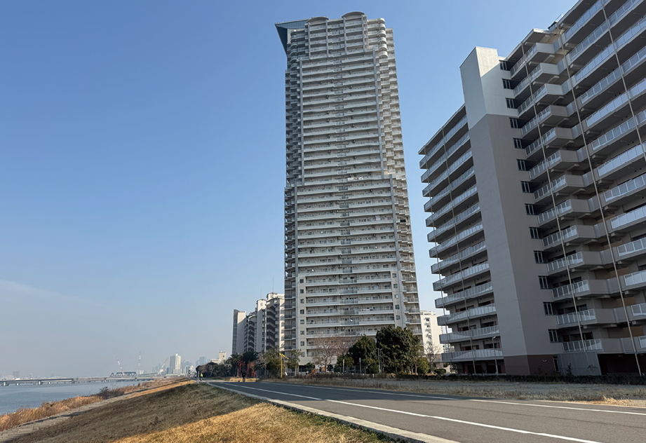 スーパー堤防が整備された現在の酉島(令和7年(2025年)1月撮影)